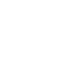Loopit Footer Logo